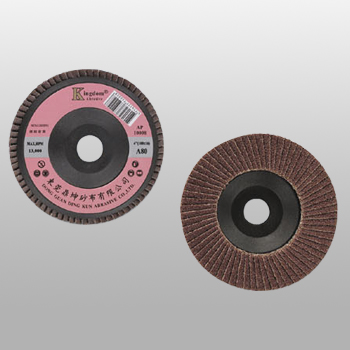RP-A/O Flap Disc (Plastic Backing)