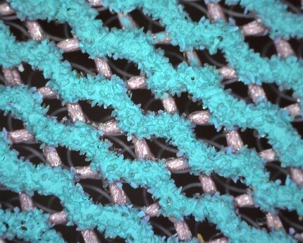 Ceramic Net Abrasive